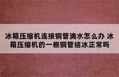 冰箱压缩机连接铜管滴水怎么办 冰箱压缩机的一根铜管结冰正常吗